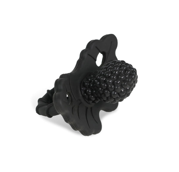 Raz hot sale baby teether